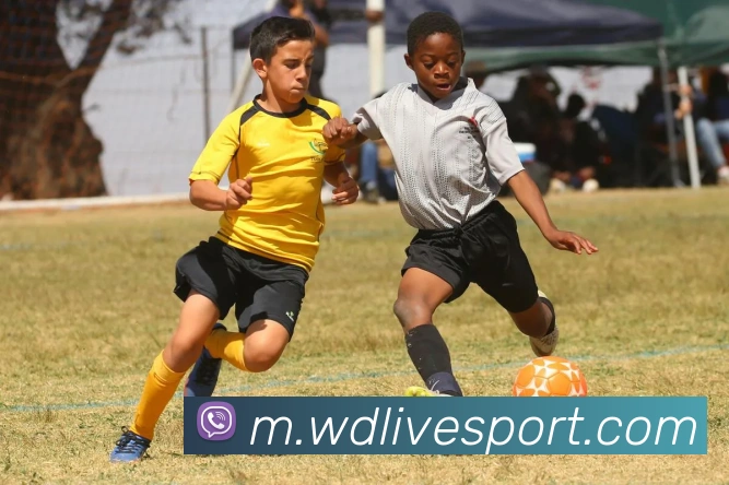 韦德体育平台生态图